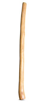 Medium Size Natural Finish Didgeridoo (TW1463)
